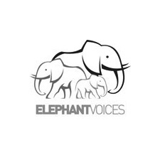 Elephant Voices Applauds Alfred Mepukori
